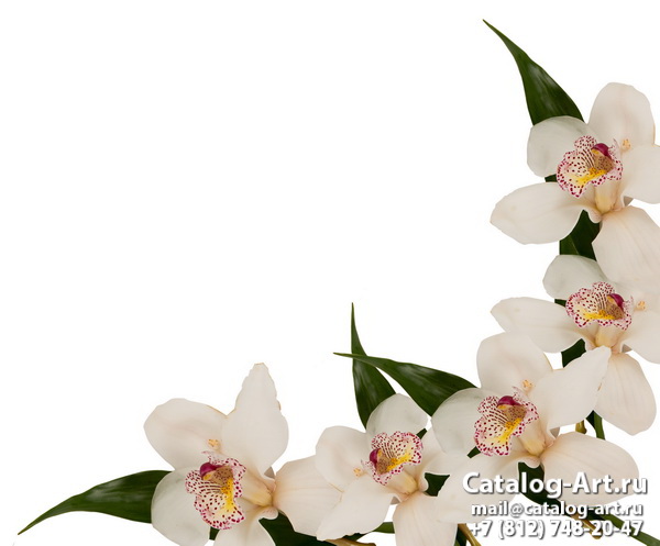 White orchids 31